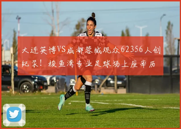 大连英博VS成都蓉城观众62356人创纪录!梭鱼湾专业足球场上座率历史第一解析
